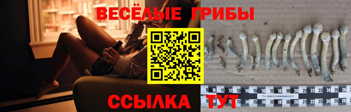 Псилоцибиновые грибы ЛСД  Вход с VPN  Ульяновск 